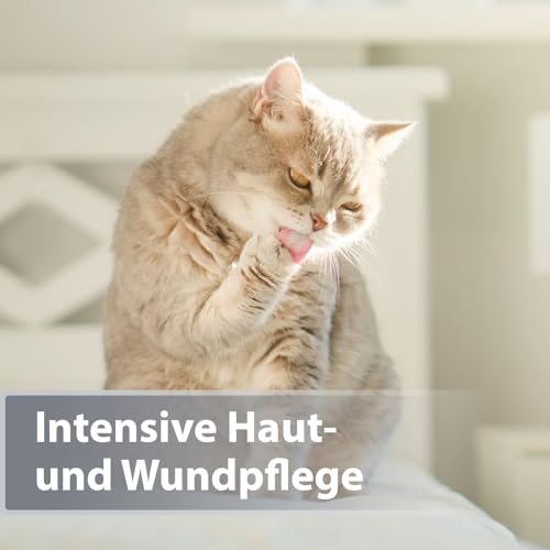 Felisept Mikro Silberspray für Katzen 75ml - Silberspray Katze gegen Juckreiz, Wundspray Katzen, Schmerzfrei & ohne Aluminium & kolloidales Silber, Einfache Anwendung
