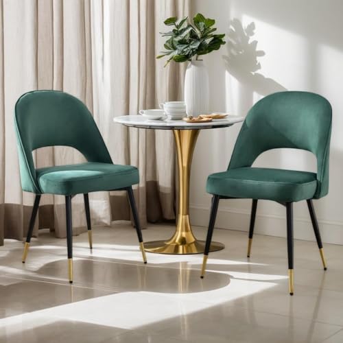 chairus Set di 2 Sedie da Pranzo in Velluto Sedia Cucina con Gambe in Metallo Sedie Moderne con Schienale Sedia Imbottita per Sala da Pranzo/Soggiorno, Verde