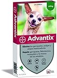  advantix Spot-ON per Cani Fino a 4 kg - Offerta 2 Confezioni