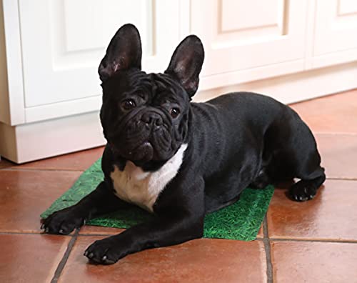 Croci Kühlmatte für Hunde Fresh Anti-Squitos Grass, 90 x 50 cm, erfrischt das Tier ohne zusätzliche Hilfe, wie Strom oder Wasser, 2400 g