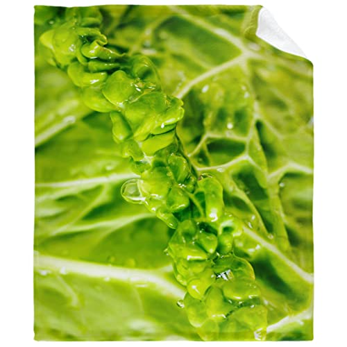 Green Vegetables Blanket,Lightweight Flannel Fleece Love Green Vegetables Throw Blanket Gifts for Girl All Season,Blanket for Bed/Couch/Sofa 40
