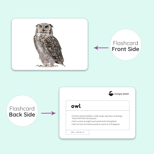 Image of Hungry Brain Flash Cards (Birds)