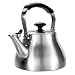 OXO BREW Classic Tea Kettle