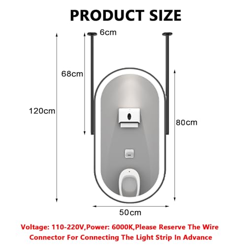 Miroir ovale de plafond LED noir 50x80cm intensité variable entrée