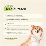 Prä- & Probiotika für Hunde – 120 funktionale Snacks (360 g) | Unterstützt Darmflora & Verdauung | Bei Grasfressen, Blähungen & sensiblen Mägen | Auch zur Unterstützung des Immunsystems