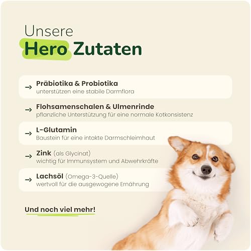 Prä- & Probiotika für Hunde – 120 funktionale Snacks (360 g) | Unterstützt Darmflora & Verdauung | Bei Grasfressen, Blähungen & sensiblen Mägen | Auch zur Unterstützung des Immunsystems