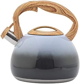 Bouilloire sifflante de couleur dégradée 2,5 L - Pour cuisine, restaurant, gaz - Universelle