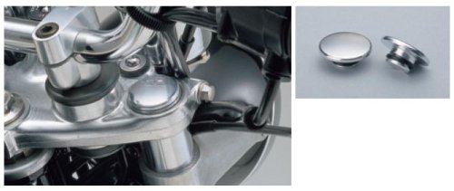 fCgi(Daytona) tgtH[NgbvLbv 42430