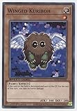 Yu-Gi-Oh! Winged Kuriboh - SGX1-ENA06 - Common - 1st Edition