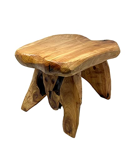 THY COLLECTIBLES Natural Tree Stump Stool Live Edge Cedar Wood Plant Stand, Stool, Garden Bench, Side Table L13 x W11 x H9.5