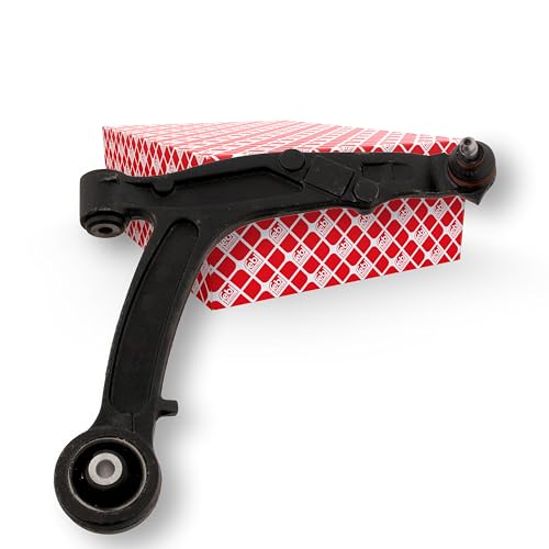 Braccetto Sospensione, Trapezio, Braccio Trasversale, Bracci Oscillanti, Braccetti, Braccio Sospensione, Braccetto Ruota, Braccio Oscillante, Braccetto: compatibile con FIAT PANDA (169), compatibile con FIAT PANDA Furgone/hatchback (169), compatibile con FIAT PANDA Van (169)