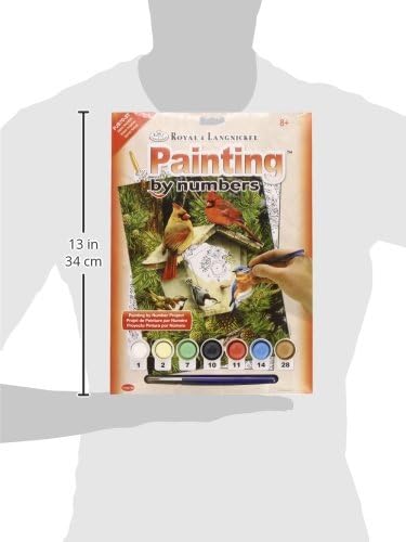 ROYAL BRUSH Junior Small Paint by Number Kit 8-3/4"X11-3/4-Native Neighbors