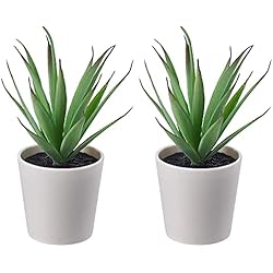 Maceta Grande Ikea Ikea FEJKA - Mini plantas de escritorio artificiales para suculentas (6 cm, 2 unidades)