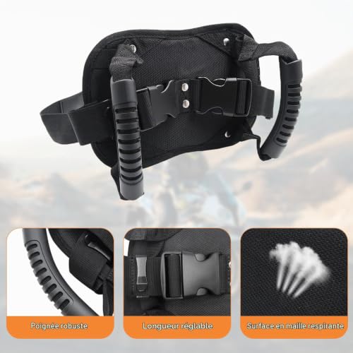 Ceinture de Sécurité Moto pour Passager, Harnais Réglable et Poignée de Maintien Universelle - Sécurité et Confort Renforcés pour Le Passager Arrière, Schwarz – vue 4