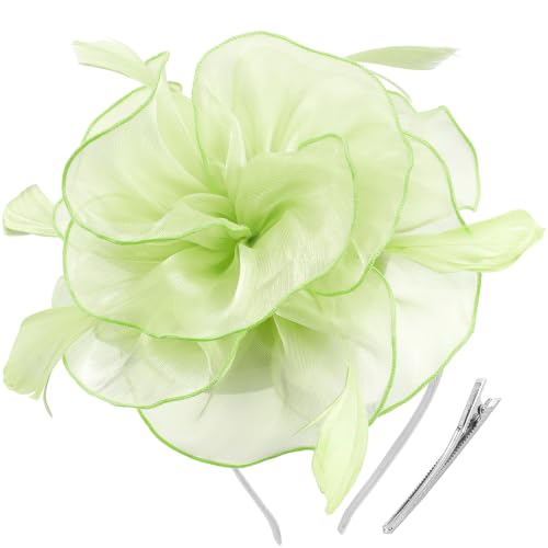 Image of DRESHOW Fascinators Hat Tea Party Headwear Ribbons Feathers on a Headband and a Clip for Women