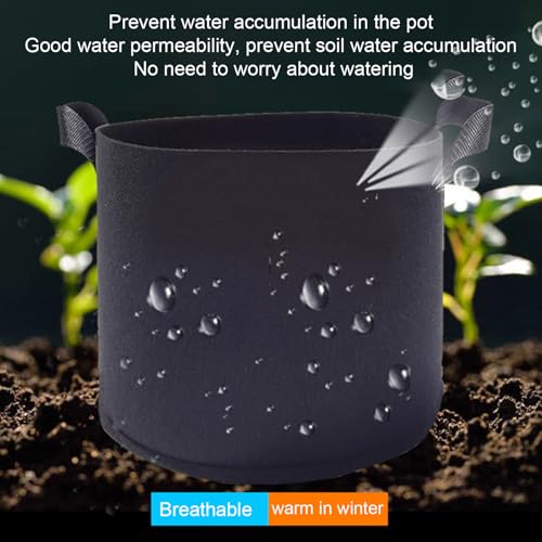 Cultivo de patatas en balcón con bolsas de siembra transpirables para verduras 5