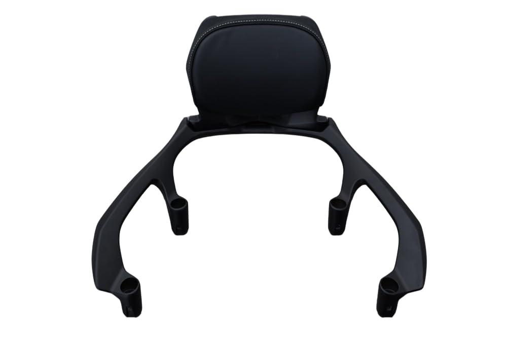 avdb-Moto Dosseret Selle Passager/Sissy-Bar Compatible avec Yamaha T-Max 560 2022-2024, TMAX 560 Tech Max 2022-2024 (Acier)