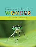 From Wasteland to Wonder: Easy Ways We Can Help Heal Earth in the Sub/Urban Landscape