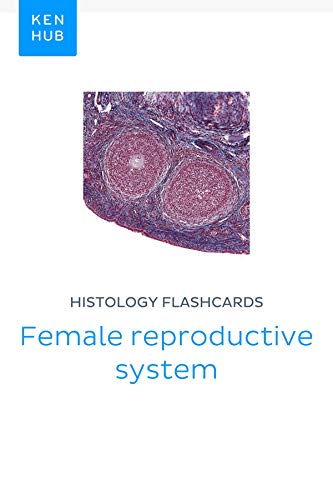 Histology flashcards: Female reproductive system: Learn all - Import It All