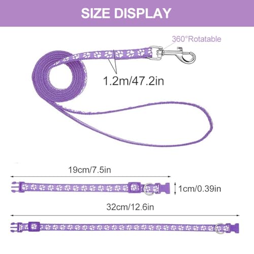 Hundehalsband und Leine Set für Kleine Hunde, Bequem Verstellbar, Welpenhalsband, Lila