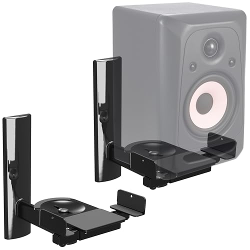 RICOO Speaker Wall Mount Universal Black 2 Pcs. Swivel Tilt Bluetooth WiFi Airplay Holder LH023-B Wall-Mounted Loud-Speaker Bracket