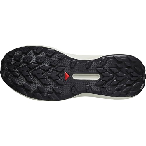 Salomon Trail Running Genesis GTX Herrenschuhe, Schwarz, Lunar Rock, 42 2/3 EU