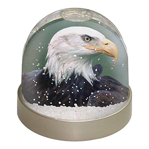 Eagle Photo Snow Globe Waterball by Advanta Cover
