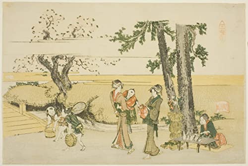 Impression d'affiches Katsushika Hokusai toile art portrait 60x90cm