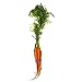 Cal-Organic Rainbow Carrots Bunch, 1 ct