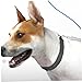 Heavy Duty Bungee Dog Leash Tent Spring Buckle Outdoor Camping Leash for Dogs Swivel Snap Hooks