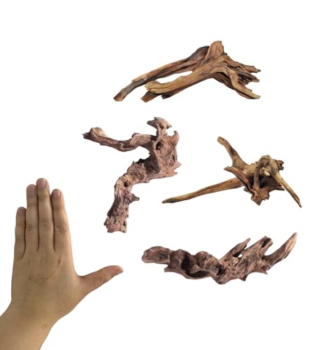 Image of YZHZOM Small Natural Driftwood for Aquarium Styling Carefully Selected Natural Aquarium Decor Driftwood for Reptile Tank Reptile Tank Wood Decor (Driftwood 6-8inch 4pcs)