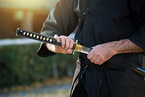 Hms Unsharpened Iaido Iaito Wakizashi Trainging Sword, Aluminium Alloy Blade, Full Tang, Brass Fittings, Empire Wheel Tsuba, Black Scabbard #TOP6