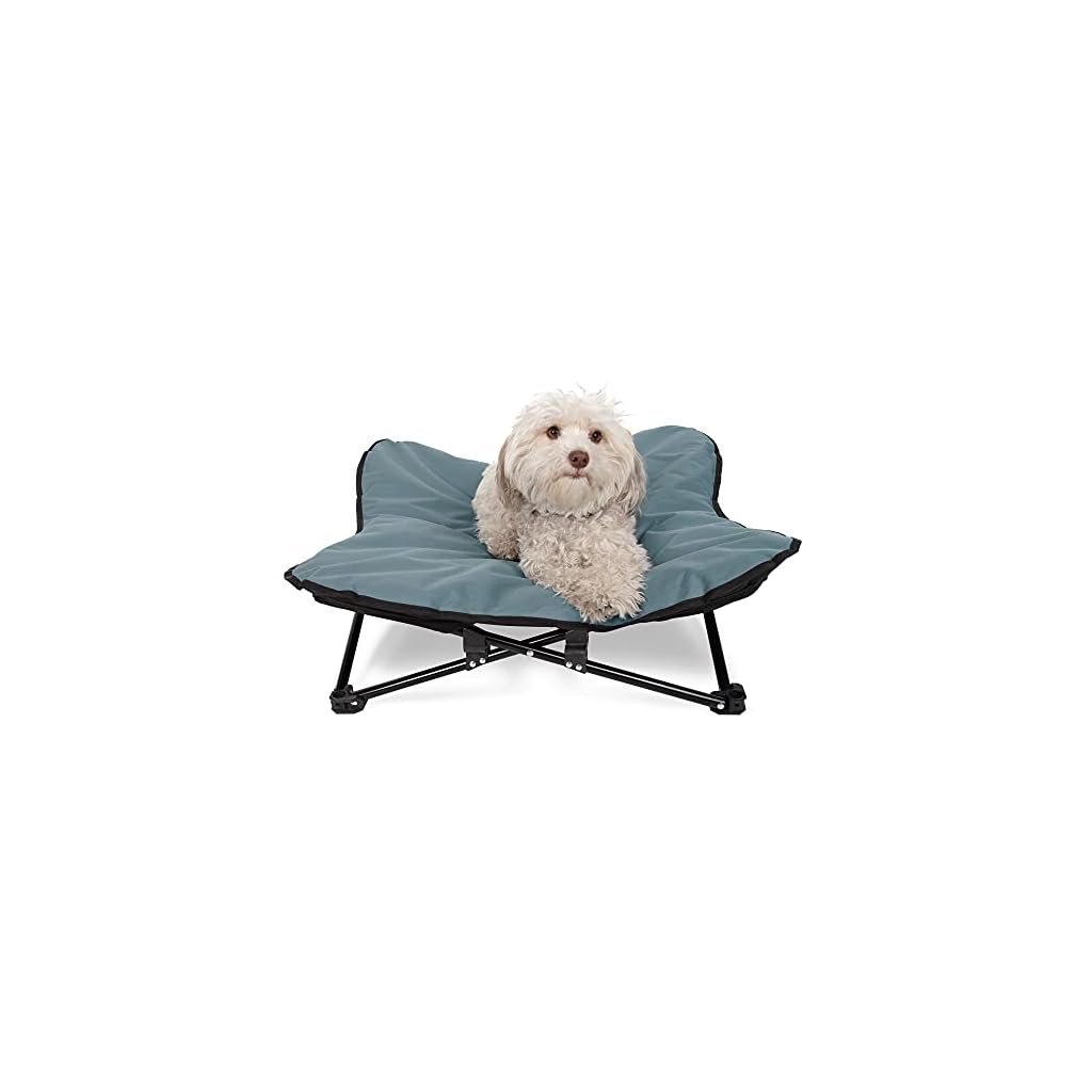 Pet Camping Raised Cot for Dogs Buy Online