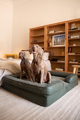 Image of NOAH & PAW Giant Dog Bed XXL, 55x45x11 Inch, Orthopedic Dog Beds, Eggshell Memory Foam Infused with Cooling Gel, Inner Cover, Water Resistant, Machine Washable (Faux Leather)