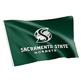 Desert Cactus Cal State University Sacramento Flag 3x5 Outdoor (#1)
