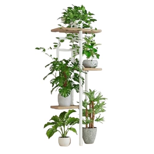 Sefoemutt[X^h 5 iKiAI kX^CI S؍ސw|bgX^h |[bN oRj[rOp (4i5,I[N)