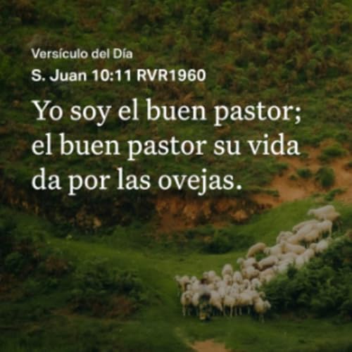 El Buen Pastor - Juan 10:11