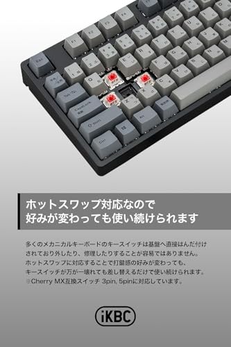 iKBC CD108 RGB IK-CD108-G/BR-RGB-BK の商品画像 3