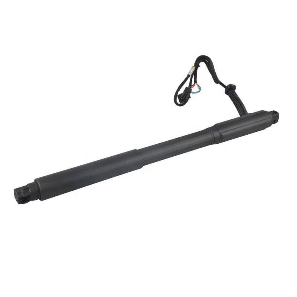Amazon.com: NUOZHIHAN-AUTO PARTS NO# 51247332695 Electric strut 