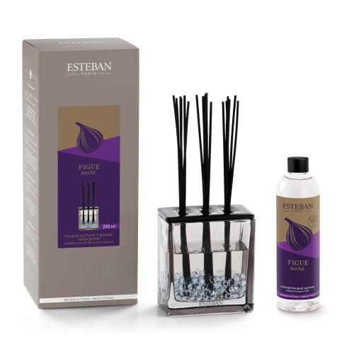 Bouquet Parfumé Triptyque Fique Noir - Esteban