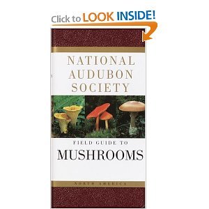 National Audubon Society Field Guide to North American Mushrooms (National Audubon Society Field Guides) [Paperback]