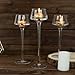 Efavormart Set of 3 | Long-Stem Clear Glass Pedestal Table Vase Centerpieces, Tall Tealight Disc Candle Holders - 8