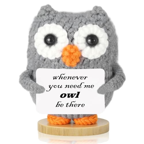 Johiux Pocket Hug Gufo positivo, portafortuna, regalo per donne, divertente gufo positivo, regalo per i colleghi