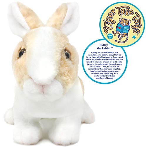 Viahart Ridley The Rabbit - 11 Inch Realistic Stuffed Animal Plush Bunny - By Tiger Tale Toys #TOP2