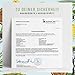 NATURTREU® Florazauber Kulturen Komplex - Vorteilsbundle 2er Paket - magensaftresistent & vegan - 23 Bakterienstämme ohne Inulin - Komplex u.a. mit Lactobacillus & Bifidobakterien, 60 Kapseln