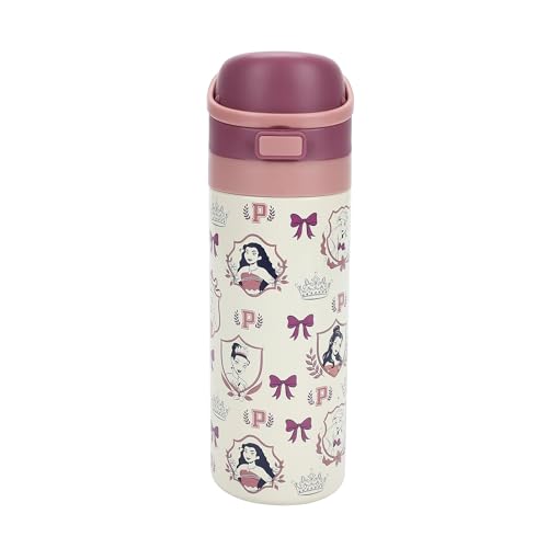 Image of Disney Princess All-Over Character Print 24 Oz Stainless Steel Water Bottle