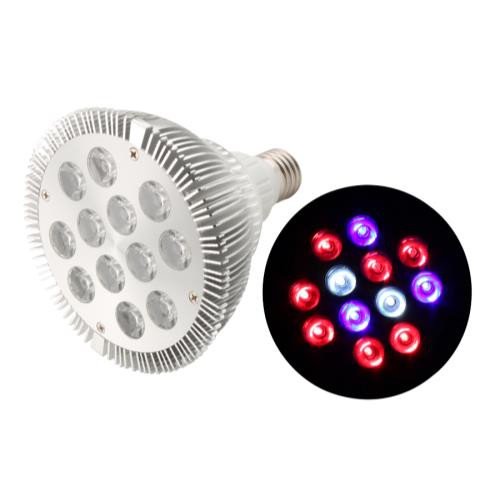 Full Output Spectrum Lamp, 12-watt