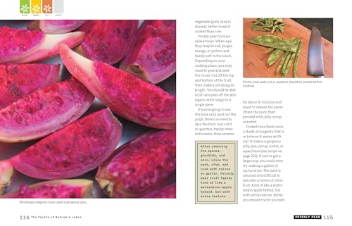Backyard-Foraging-65-Familiar-Plants-You-Didnt-Know-You-Could-Eat-Paperback--March-12-2013