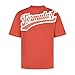 Formula 1 Heritage Logo Tshirt Red - Size: M