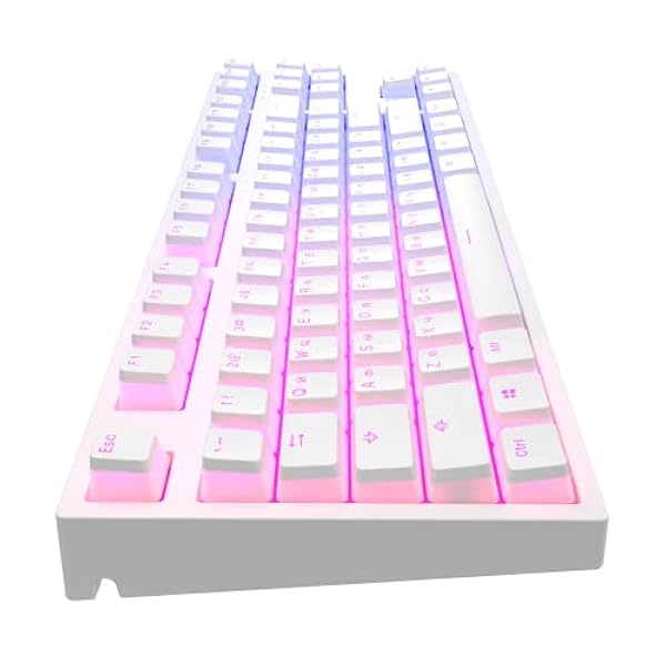 Dark Project KD87A Gaming Keyboard, TKL, 87 Keys, Gateron Cap Teal Mechanical switches, Greased Stabilizers, Customizable RGB Backlight, USB Wired Keyboard, White (ENG/UA)